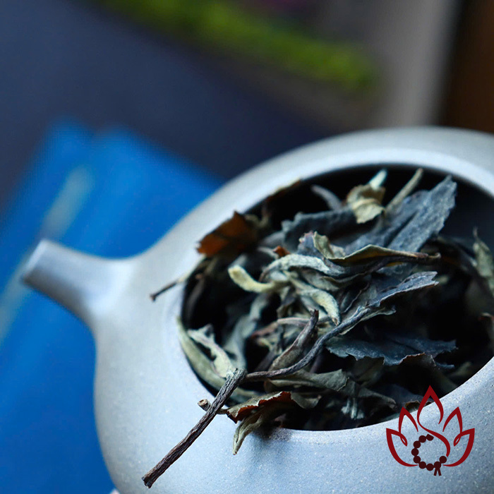 Bạch Trà Bạch Nguyệt Quang Vân Nam | 100 gram